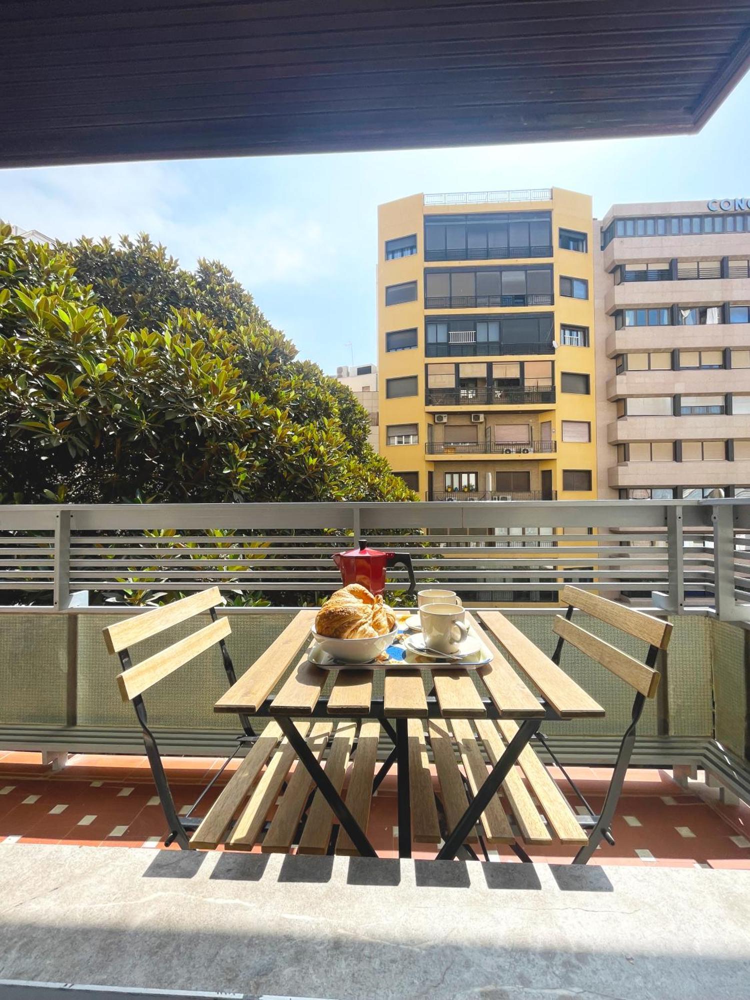 At Paseo Ficus Centenario * Almería